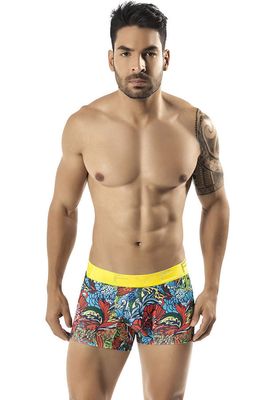 Clever Moda Elemental Boxer Brief